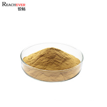 Non GMO Ginseng Extract Best Price Organic Ginseng Root Extract Powder for Health